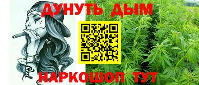 a pvp Камышлов
