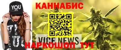 a pvp Камышлов