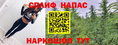 a pvp Камышлов