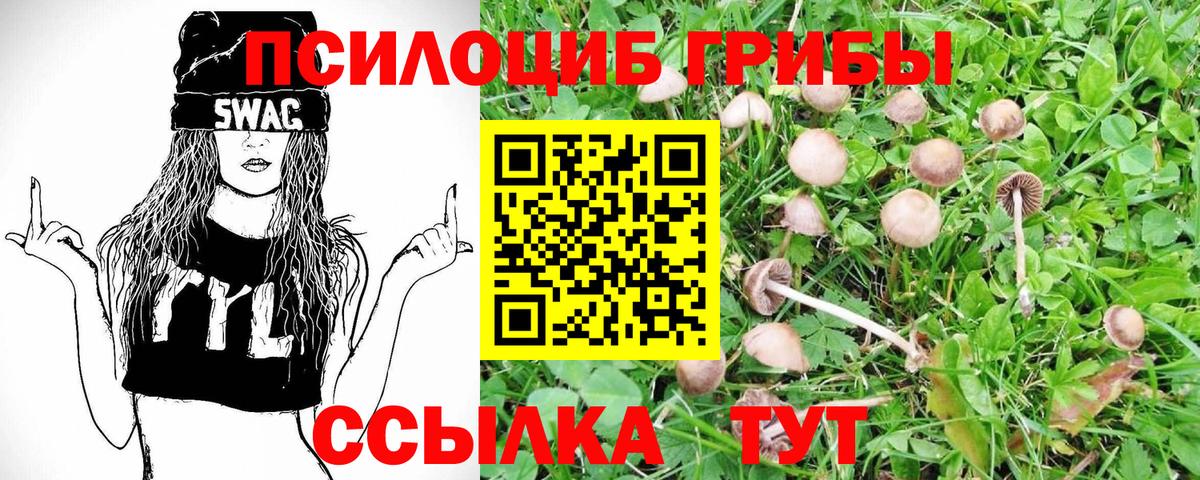 Псилоцибиновые грибы мухоморы  Псилоцибиновые грибы Psilocybine cubensis  Волгоград  Вход с VPN 