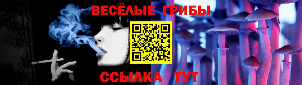 Псилоцибиновые грибы Psilocybe Волгоград